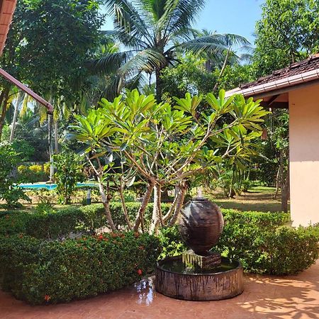 King Coconut Lodge Habaraduwa Central Екстериор снимка
