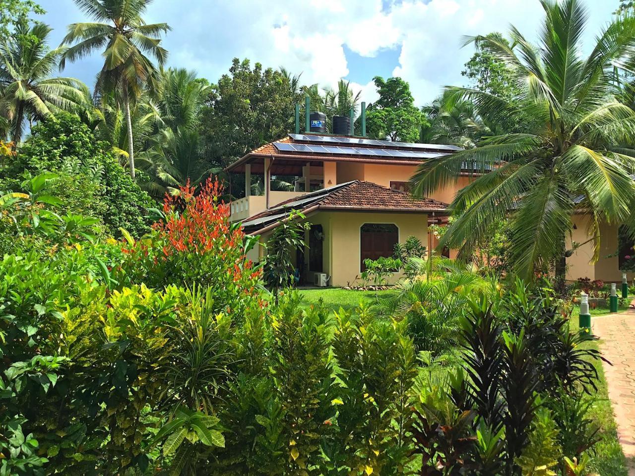 King Coconut Lodge Habaraduwa Central Екстериор снимка
